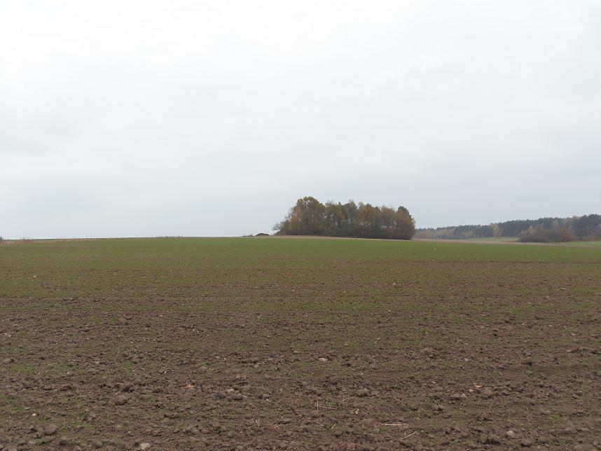 Przewodnik na urządzenia mobilne Muzeum Ziem Nadbużańskich